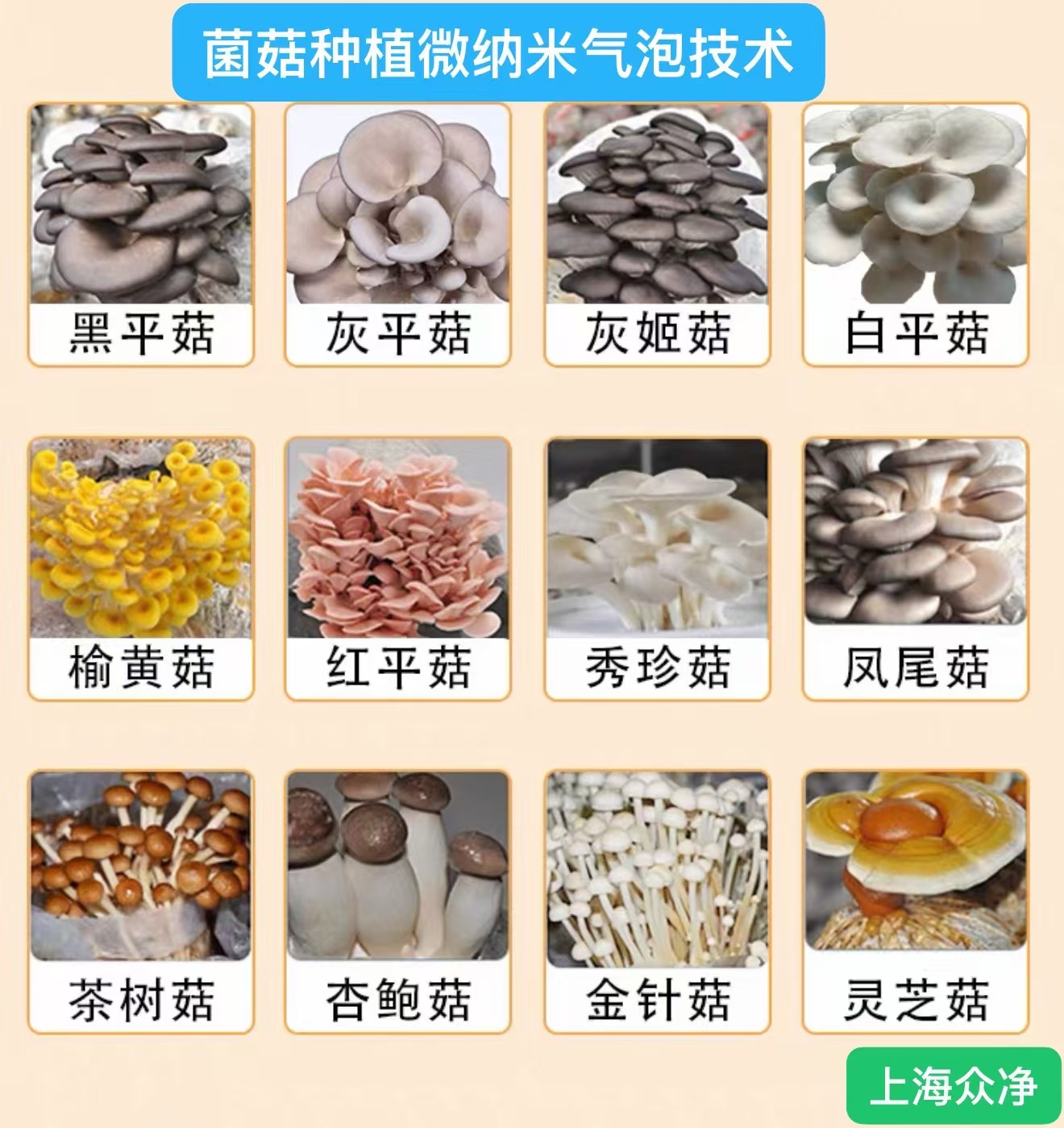 微纳气泡技术在蘑菇栽培中的应用及优势